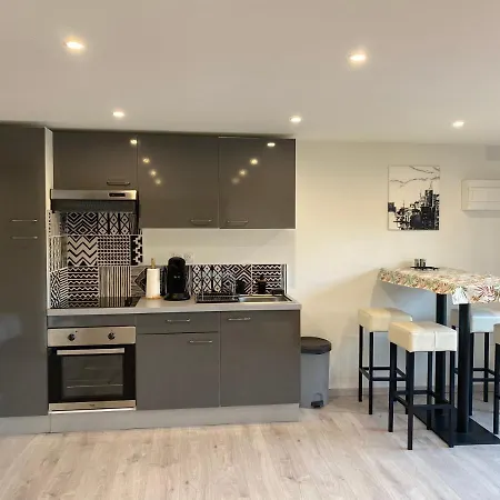 Loft Lumineux Et Moderne A Монтобан