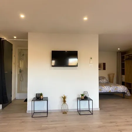 Loft Lumineux Et Moderne A